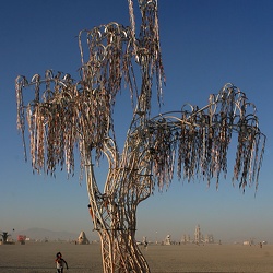 2011
