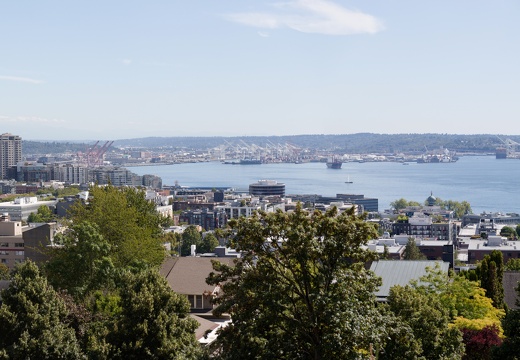 kjn2025 00365 stitch